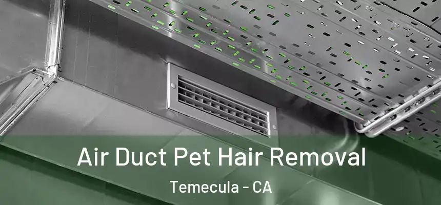Air Duct Pet Hair Removal Temecula - CA