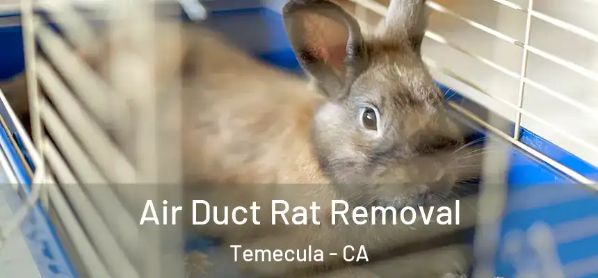 Air Duct Rat Removal Temecula - CA