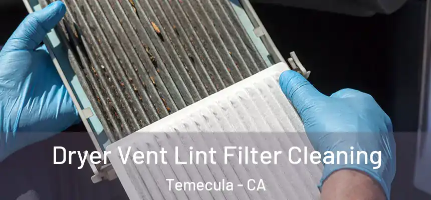 Dryer Vent Lint Filter Cleaning Temecula - CA