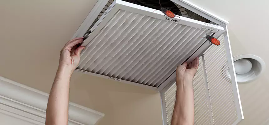 Preventive Cockroach-Proofing for Ducts in Temecula