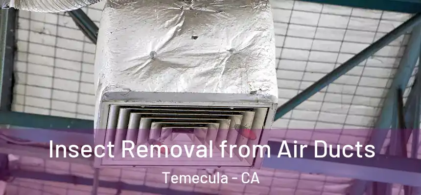 Insect Removal from Air Ducts Temecula - CA