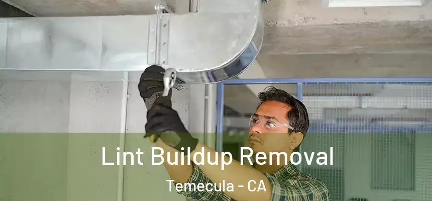 Lint Buildup Removal Temecula - CA