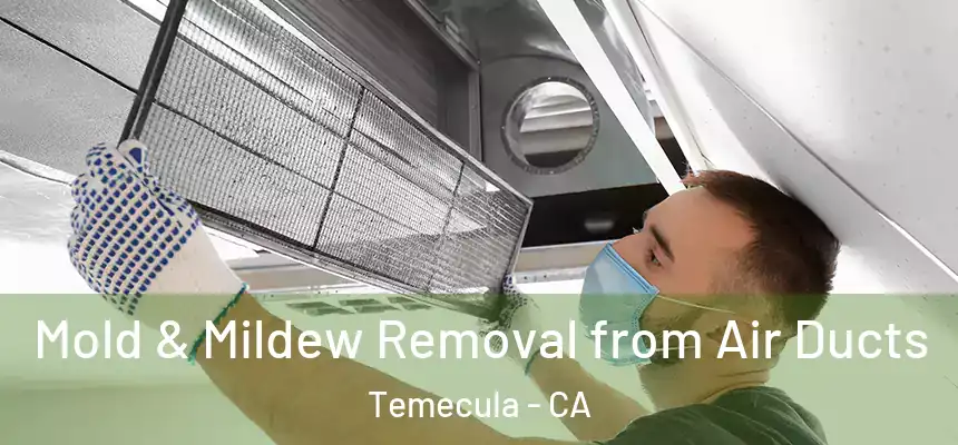 Mold & Mildew Removal from Air Ducts Temecula - CA