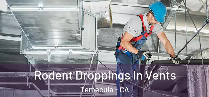  Rodent Droppings In Vents Temecula - CA