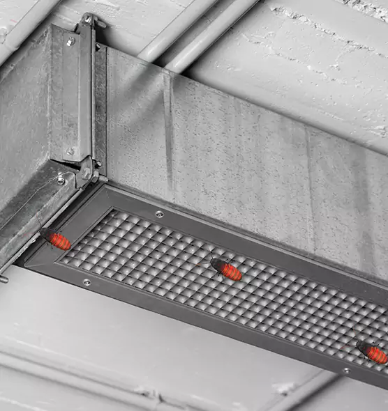 About Air Duct Cockroach Removal in Temecula, CA