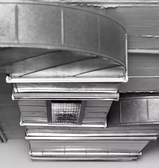 Professional Air Duct Pest Removal in Temecula, CA