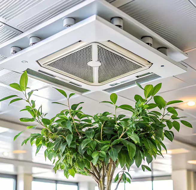 Why Homeowners & Businesses Trust Us in Temecula, CA?