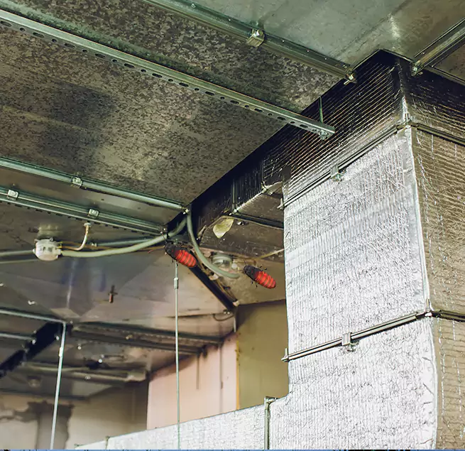 Why Homeowners & Businesses Trust Us Temecula, CA?