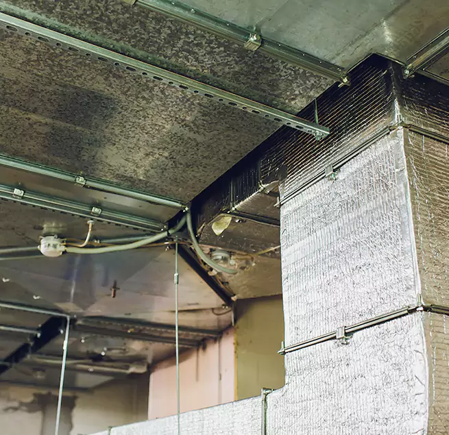 Why Homeowners & Businesses Trust Us in Temecula, CA?